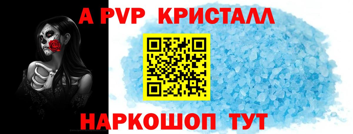 A PVP СК Сосновый Бор