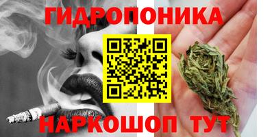 спайс Будённовск